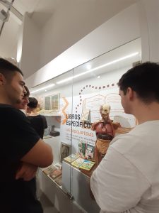 Alumnos de 1º curso del Grado de Pedagogía de la Universidad de Málaga 23/24 visitan el MAE